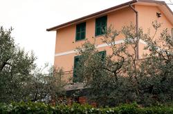 Belvedere Colle Mattia, Roma orari di apertura