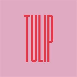 Tulip Beauty Lab, Porto Mantovano orari di apertura