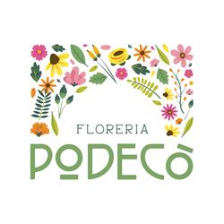 Podecò Floreria, Casnigo orari di apertura