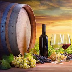 Enoteca AKANTINA, Castellanza orari di apertura