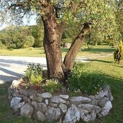 Ristorante Pizzeria Marrapese, Limatola orari di apertura