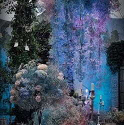 Stylosofie floral design Roma, orari di apertura