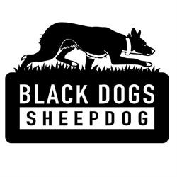 Black Dogs Sheepdog -Saint Mary Kennel, Padova orari di apertura