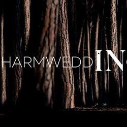 Iuri Niccolai - Charmwedding, Firenze orari di apertura