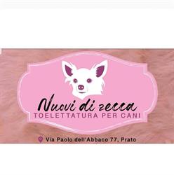 Nuovi di zecca, Prato orari di apertura