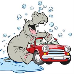 Ippo car wash, Arluno orari di apertura