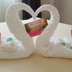Meridiano B&B, Follonica orari di apertura