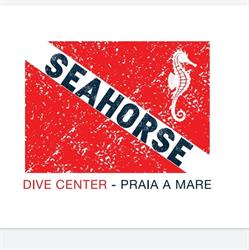 Seahorse Dive Center, Praia a Mare orari di apertura
