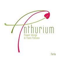 Anthurium, Ferla orari di apertura