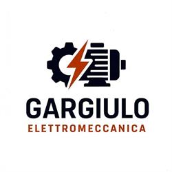Gargiulo Elettromeccanica Sas Di Gargiulo Raffaele, Santa Maria la Carità orari di apertura