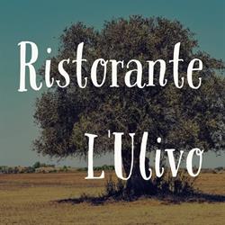 Ristorante Pizzeria L ULIVO, Anzio orari di apertura