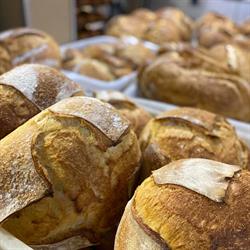 La Spiga D'Oro, Agnone orari di apertura