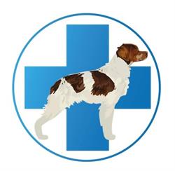 Centro Veterinario San Rocco, Oppido Mamertina orari di apertura