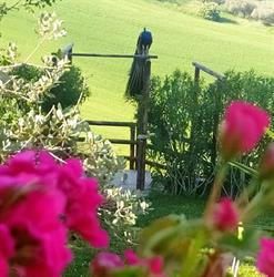 Agriturismo Borgo Antico, Moscufo orari di apertura