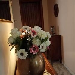 B&B A due passi, Praia a Mare orari di apertura
