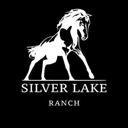 Silver Lake Ranch, Pontassieve orari di apertura