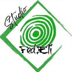 Studio Fed.Eli (Servizi Fiscali - Servizi Caf - Servizi Digitali), Reggio Emilia orari di apertura