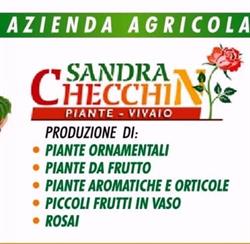Azienda Agricola Checchin Sandra, Arzergrande orari di apertura