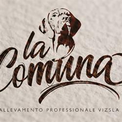 Allevamento Vizsla Della Comuna, Ostiglia orari di apertura
