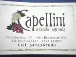 Capellini Az.Agr.Bertinoro, orari di apertura