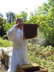 Az. Agricola Cascina Salomone, Roppolo orari di apertura