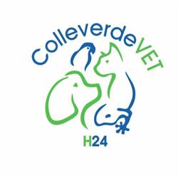 Clinica Veterinaria Colleverde Vet H24, Guidonia Montecelio orari di apertura