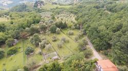 Associazione Cinofila Gli Antichi Etruschi, Dicomano orari di apertura