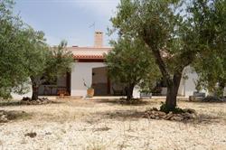 La Matrinodda, Maruggio orari di apertura