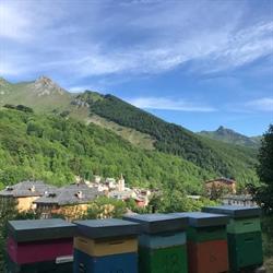 Alimentari panetteria tabacchi Giordano Limonetto, Limone Piemonte orari di apertura