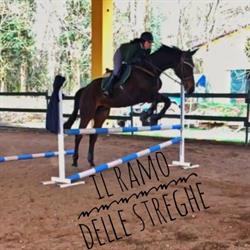 Centro ippico Il ramo delle streghe, Vigevano orari di apertura