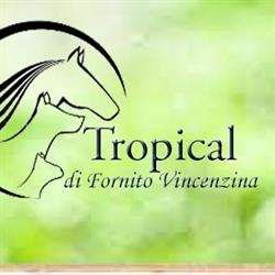 Tropical, Motta Sant'Anastasia orari di apertura