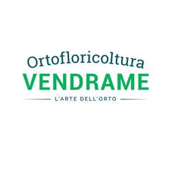 Ortofloricoltura Vendrame - Produzione piante da orto, piante aromatiche e fiori, Oderzo orari di apertura