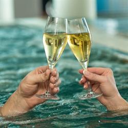 Hotel Villa Serena Castrocaro Terme, Castrocaro Terme e Terra del Sole orari di apertura