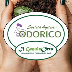 Odorico - Il GenuinOrto, Rivignano Teor orari di apertura