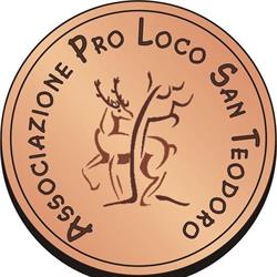 Associazione Pro Loco San Teodoro (Me), orari di apertura