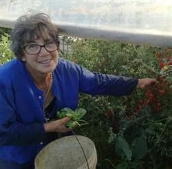 Frutta e verdura a km zero, Mercato San Severino orari di apertura