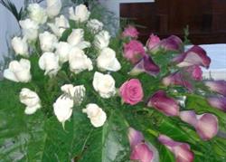 Fiori & Piante Russo Andrea, San Lorenzo orari di apertura