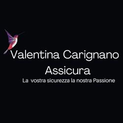 Valentina Carignano - Consulente Assicurativo UnipolSai a Pinerolo, orari di apertura