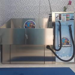 Dog Shower Puppie's House, Sulmona orari di apertura