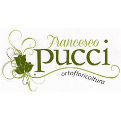 Ortofloricoltura Francesco Pucci, Chiusi orari di apertura