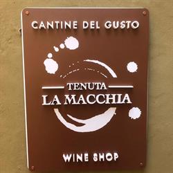 Cantine del Gusto, Montescudaio orari di apertura