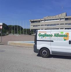 Azienda Agricola Alfonso Gagliano, Ribera orari di apertura