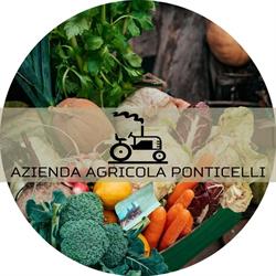 Tondelli Agenore AZ agricola Ponticelli, Carpi orari di apertura