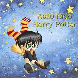 ASILO NIDO Harry Potter, Albano Laziale orari di apertura