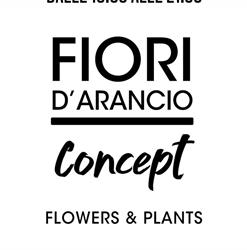 Fiori D'arancio Fioristi, Bitetto orari di apertura