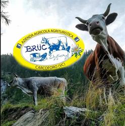 Azienda Agricola Agrituristica Brüc, Carcoforo orari di apertura