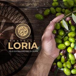 Olio Fratelli Loria, Caccuri orari di apertura