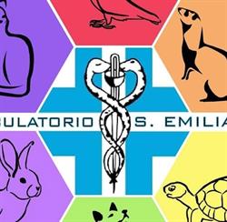 Ambulatorio veterinario 'S. Emiliano' Dott. Coratti Valerio, Trevi orari di apertura