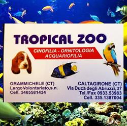Tropical Zoo Di Piccolo Maria Rosa, Caltagirone orari di apertura