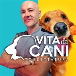 Toelettatura VdC, Pomigliano d'Arco orari di apertura